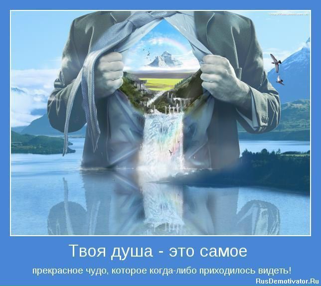 №54, Пираяр Бурый, Рыбное №54, Пираяр Бурый, Рыбное