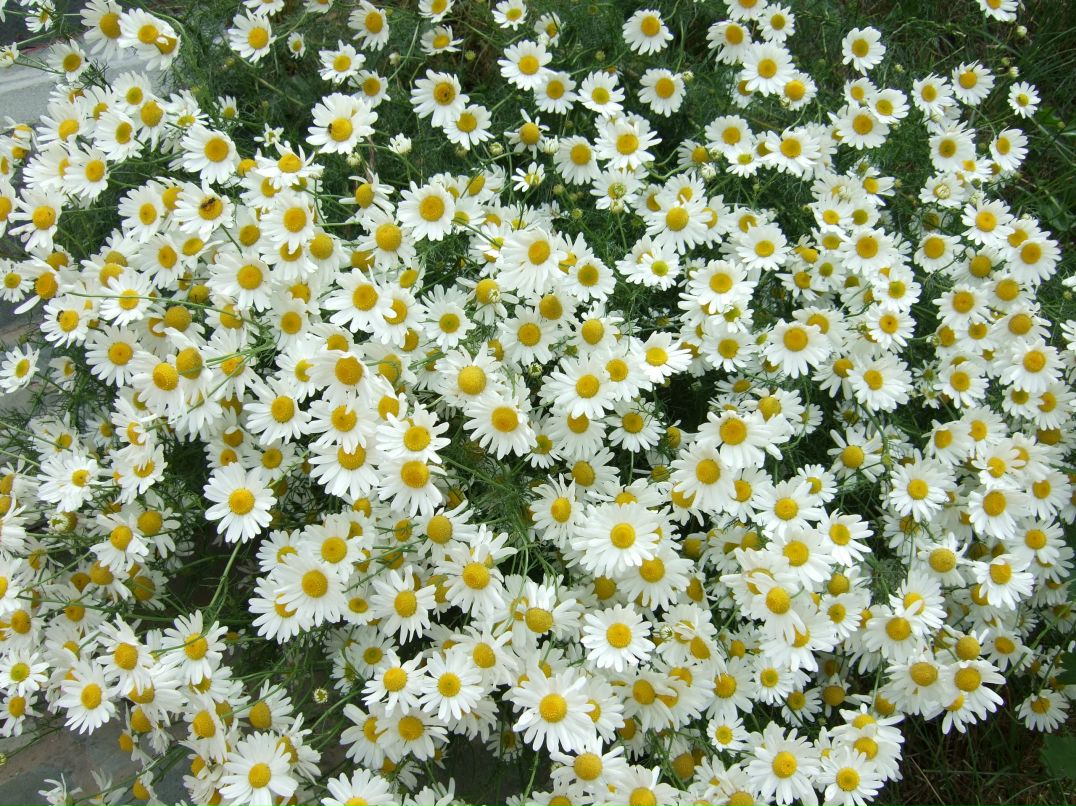 Любовь Можарова | Москва