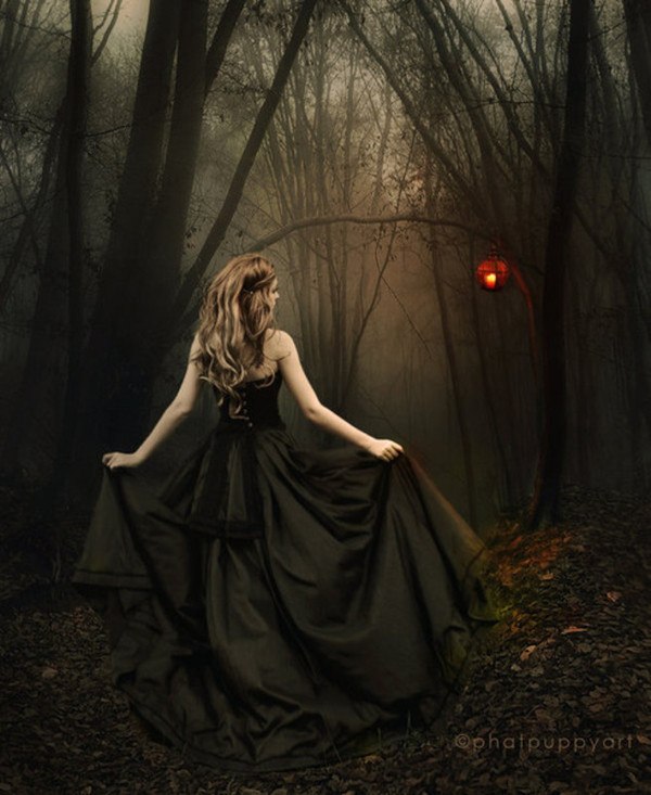 Ярослав Бондаренко | 