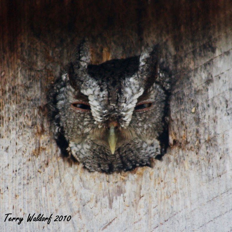 Марина Уральская | Екатеринбург