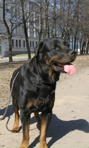 №21, Мария Харыкина, Санкт-Петербург №21, Мария Харыкина, Санкт-Петербург