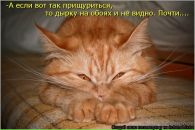 №25 Инна Миронова 06.06: профиль, фото, статус - ВКонтакте