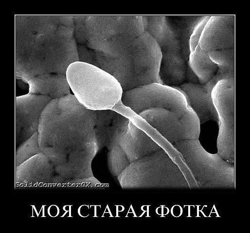 Mario Bilbao | Москва