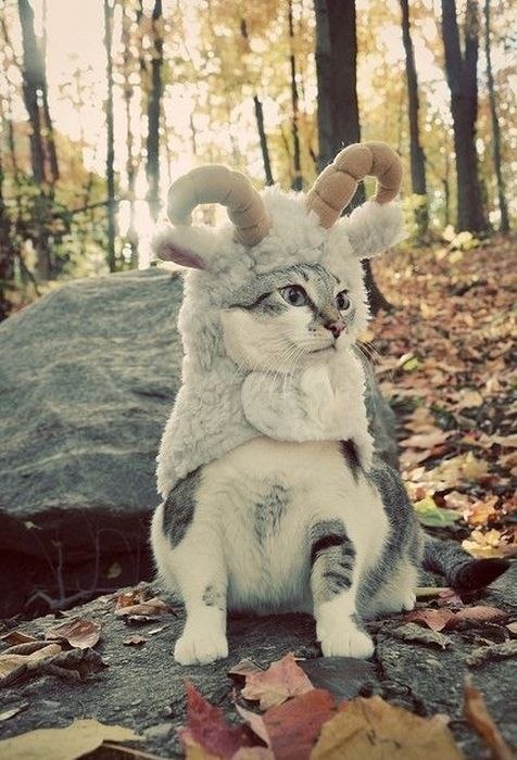 Марина Потуданская | Тольятти