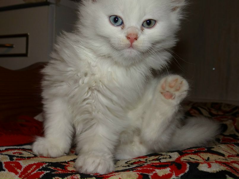 Роза Коваленкова | Наро-Фоминск