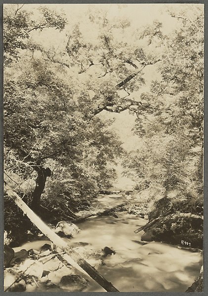 Анна Ярмош | Москва