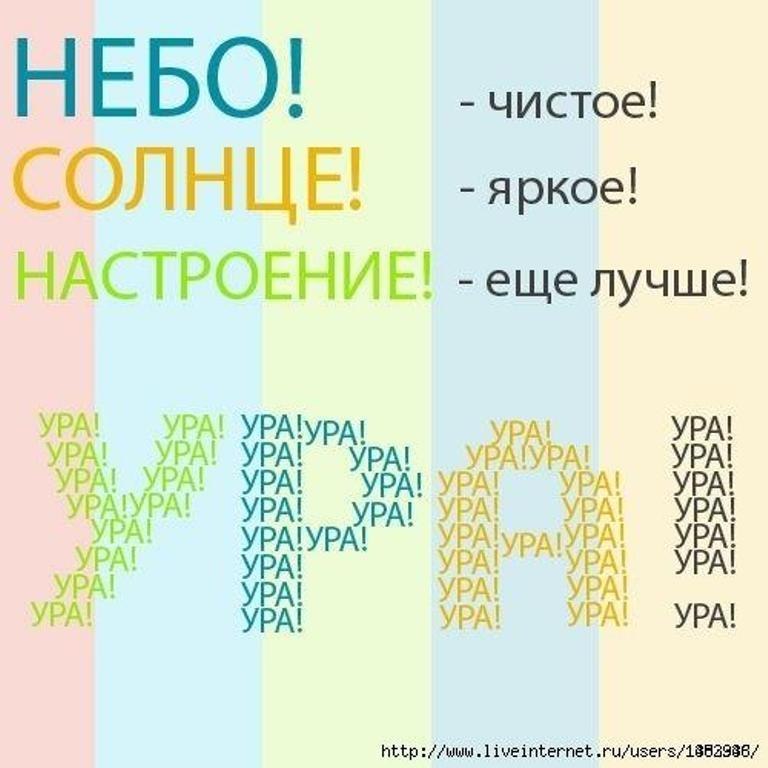 Александер Алексеев | Вологда