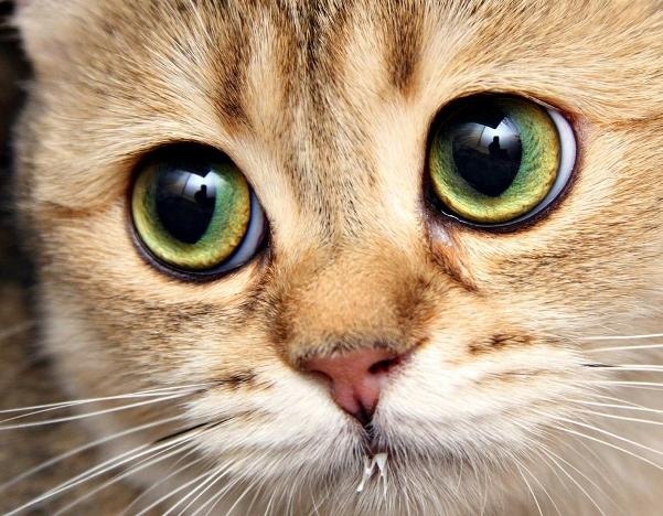 Виталий Ильенко | Сумы