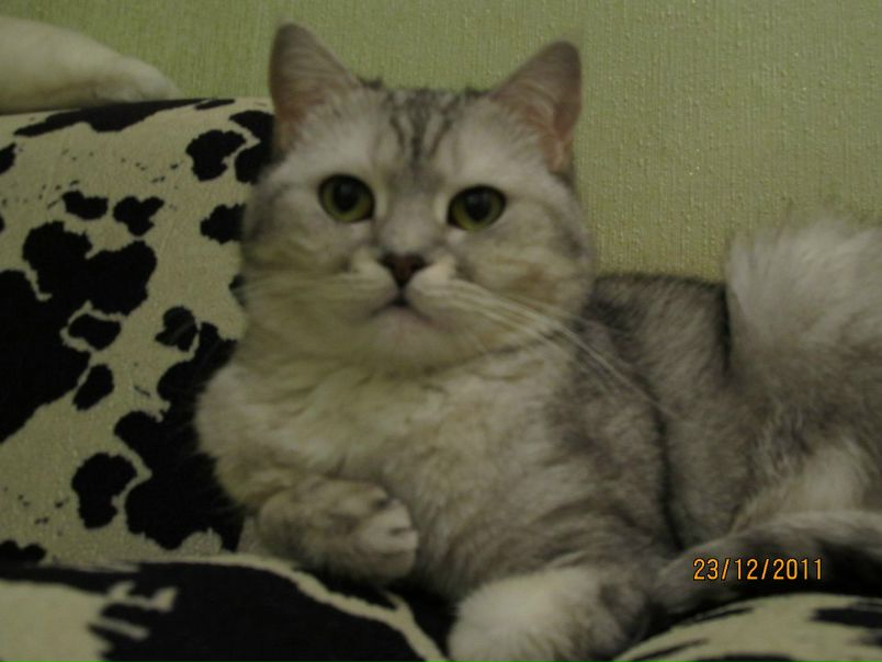 №129, Люсьен Каменских, Винница №129, Люсьен Каменских, Винница