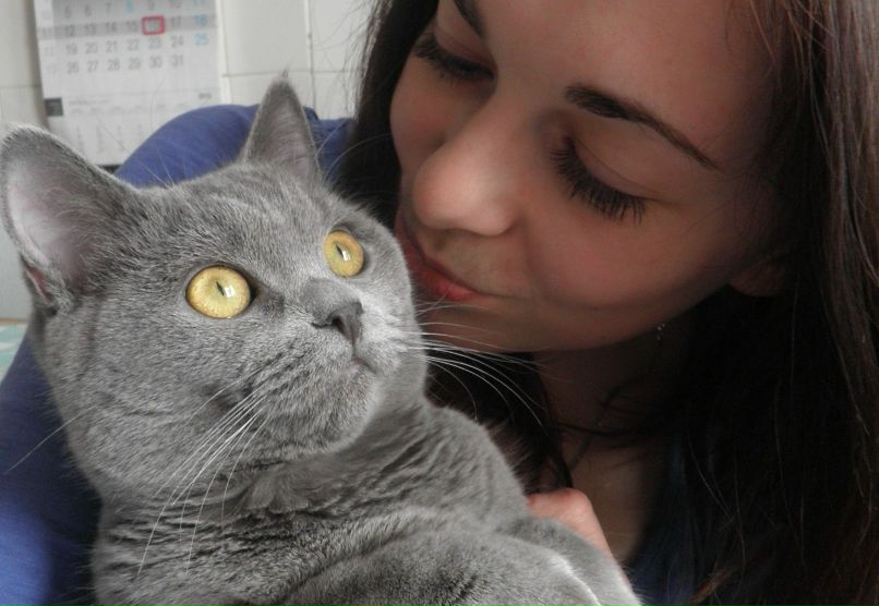 Олександра Сластіон | Чернигов