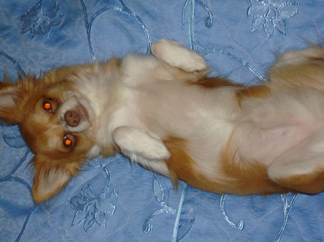 Наталья Романенкова | Никольское