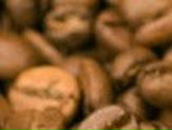 Елена Азаренко | Новосибирск