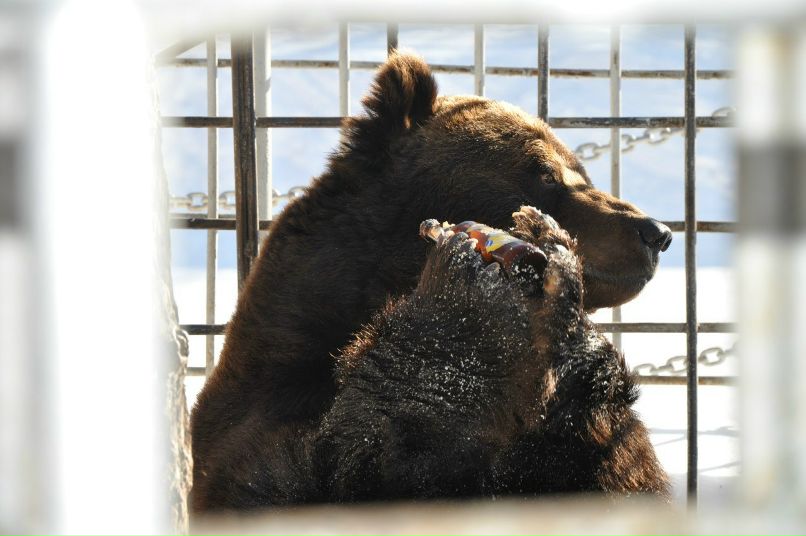 Диана Валиуллова | Уфа