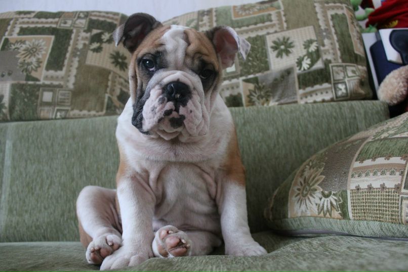 Никита Комаров | Москва