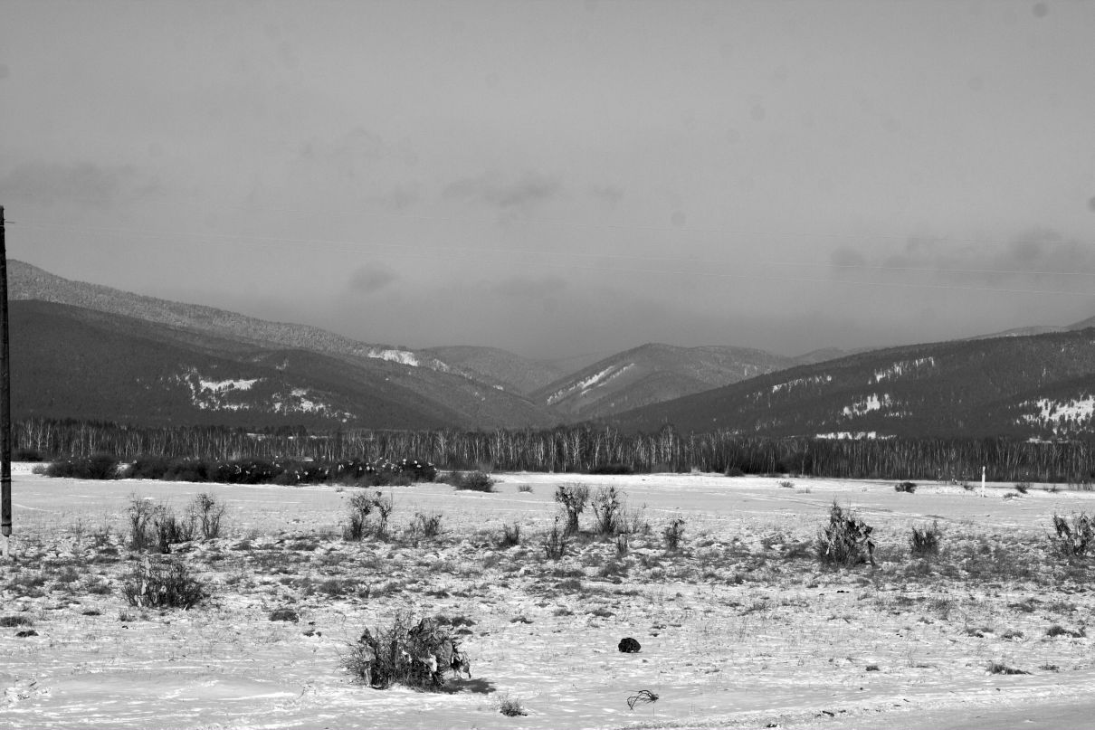 Ирина Савина | 