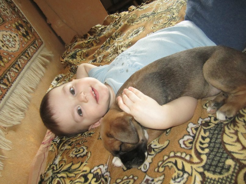 Юрик Чаюга | Ивье