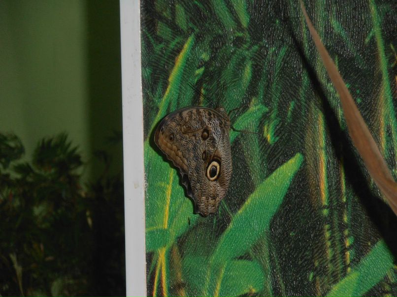 Юля Крылова | Санкт-Петербург