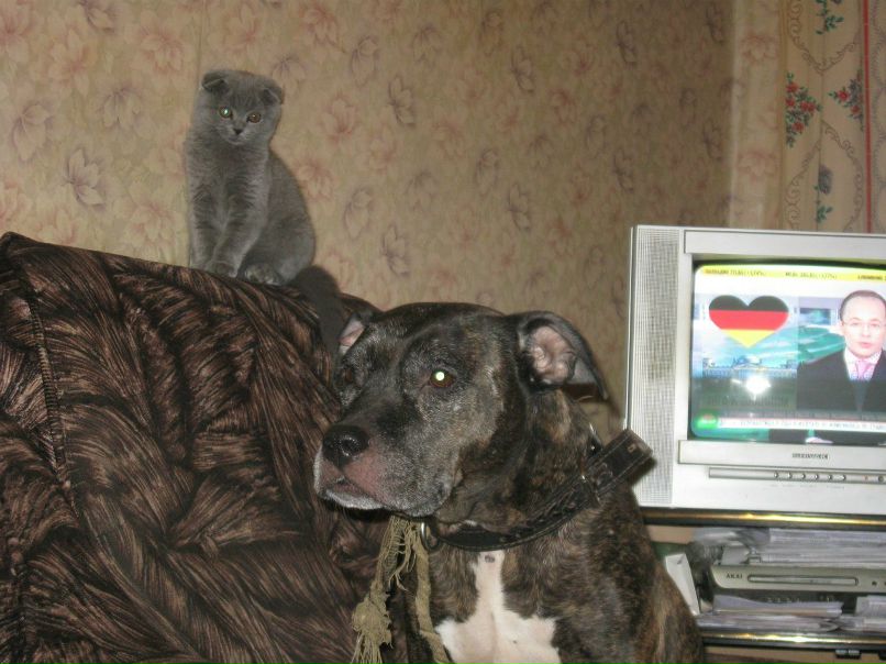 Алёна Шилова | Москва