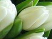 Кристина Петраш | Запорожье