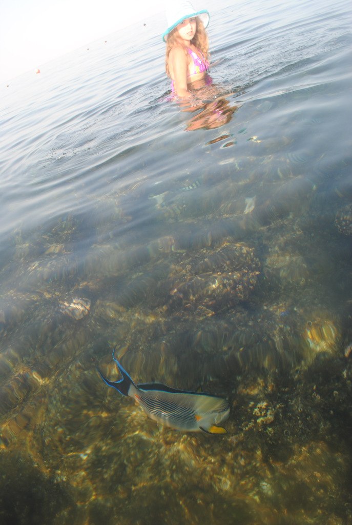 Юлия Тарасова | Раменское