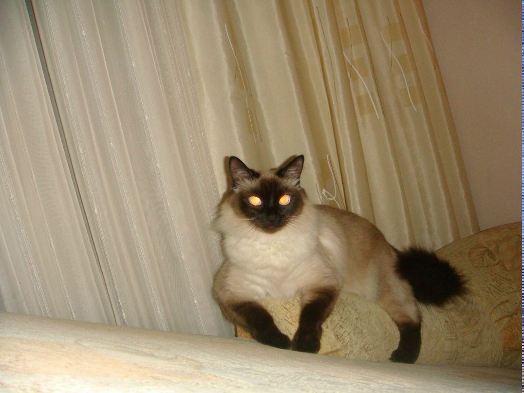 Артем Топилин | Люберцы