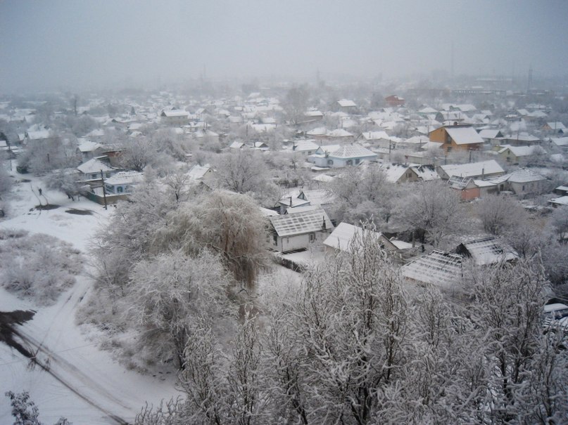 Юлия Сорока | 