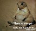 Жека Осніцький фотография #18