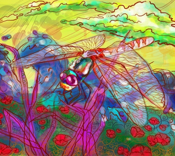 №5, Аня Корицкая №5, Аня Корицкая