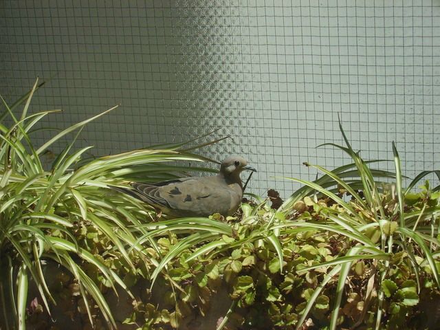 №32, Ольга Волкова, Пермь №32, Ольга Волкова, Пермь