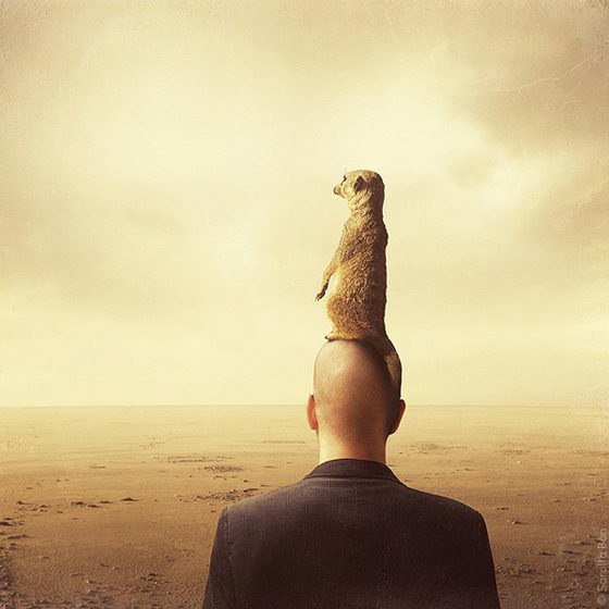 №58, Анжелика Туркова, Харьков №58, Анжелика Туркова, Харьков