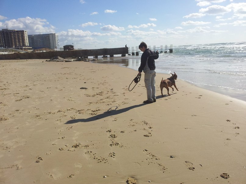 Vladimir Mukovozov | Bat Yam