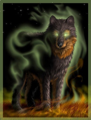 №43, Коля Колядюк, Кортелесы №43, Коля Колядюк, Кортелесы