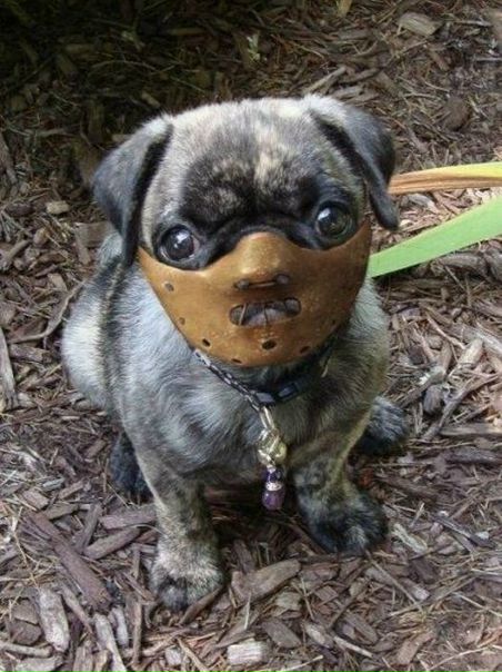 №65, Виктор Нерознак, 125 лет, Одесса №65, Виктор Нерознак, 125 лет, Одесса