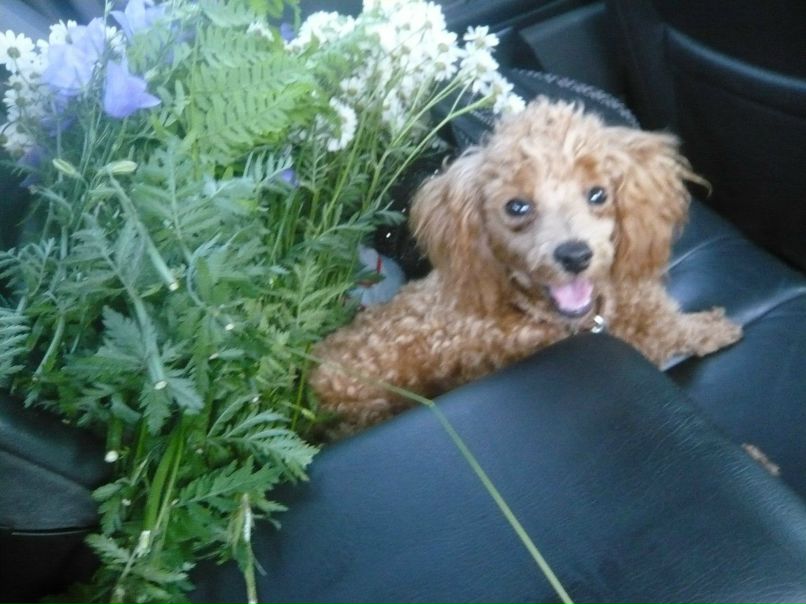 Светлана Горбунова | Ульяновск