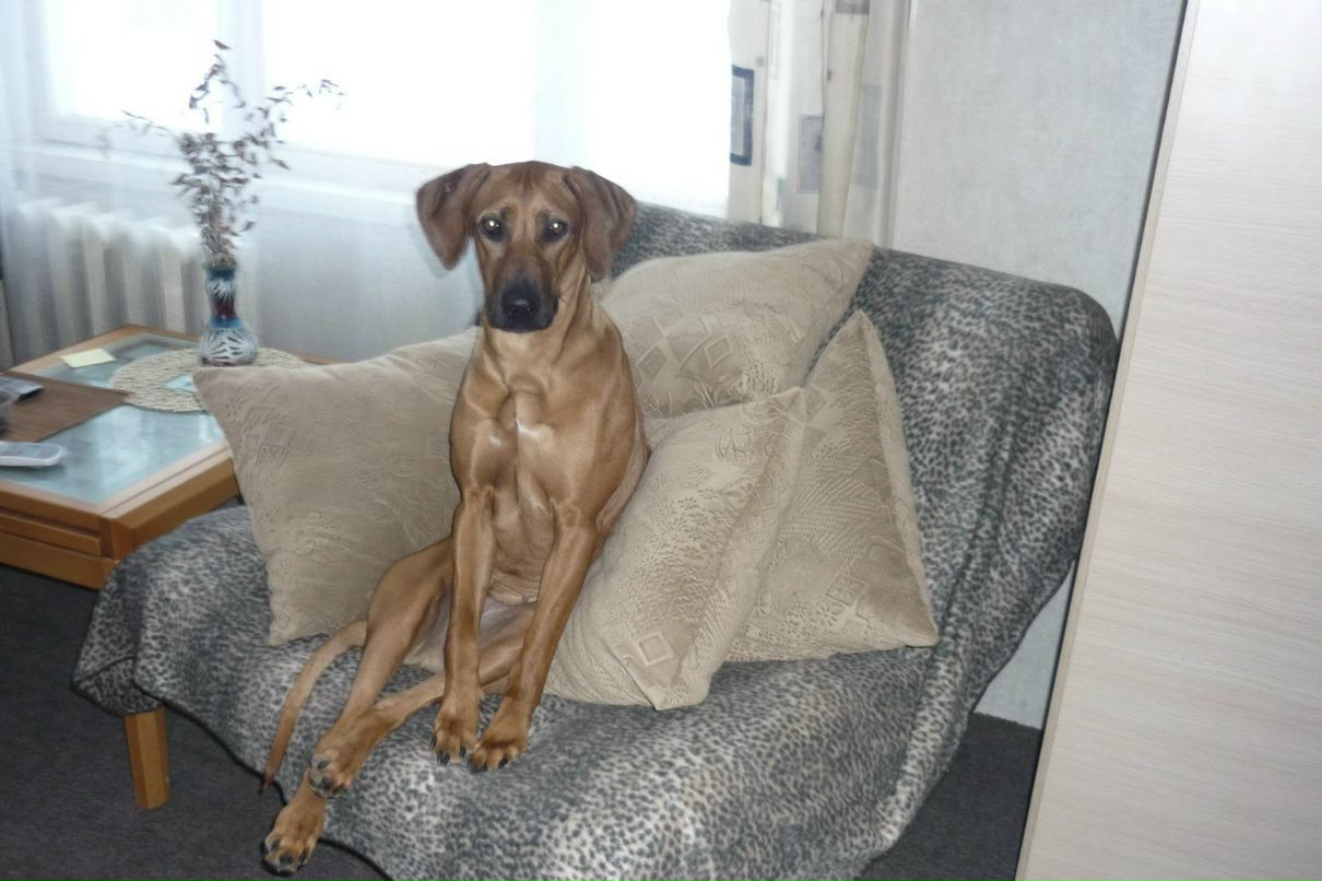 Нелли Салихова | Москва