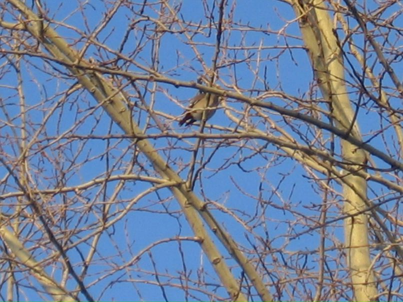 Татьяна Мелкозерова | Екатеринбург