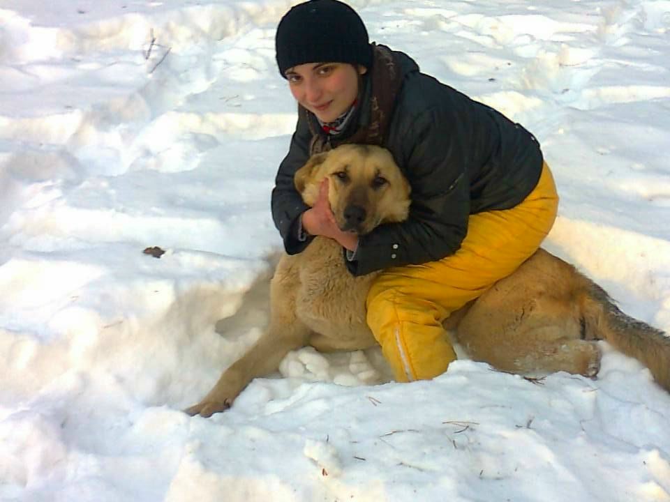 Анастасия Новицкая | Житомир