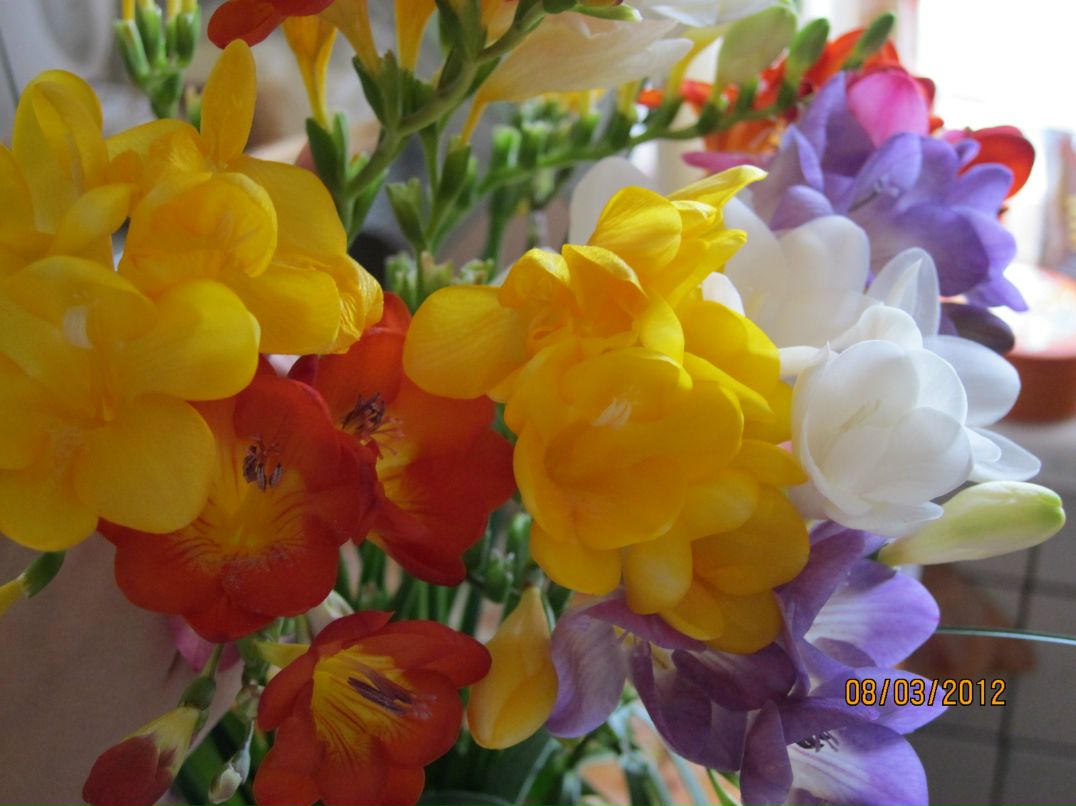 София Фролова | Ялта