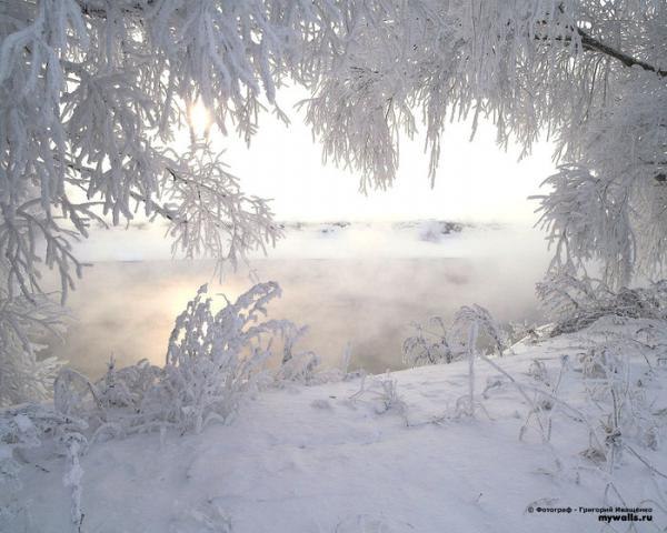 Анна Корсакова | 