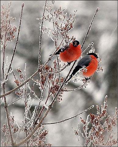 Оксана Бунина | Тюмень