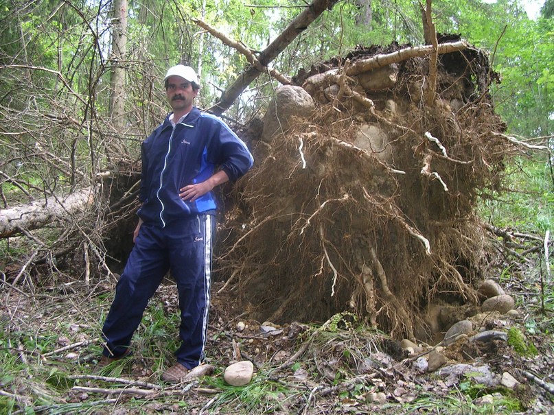 Дмитрий Новинский Валерьевич | Санкт-Петербург