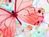 Светлана Маслова | Запорожье