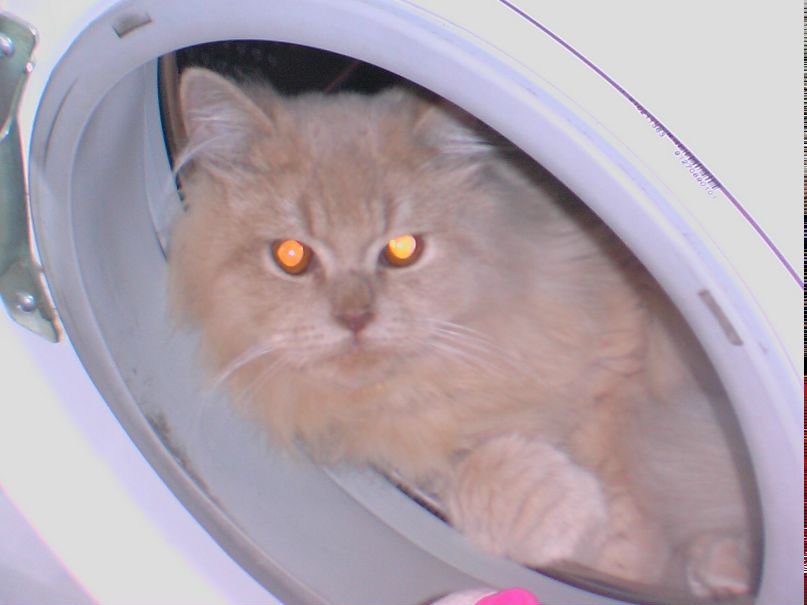 Ольга Сутырина | Санкт-Петербург