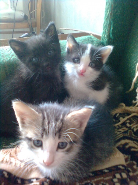 №118, Анна Титова, Москва №118, Анна Титова, Москва