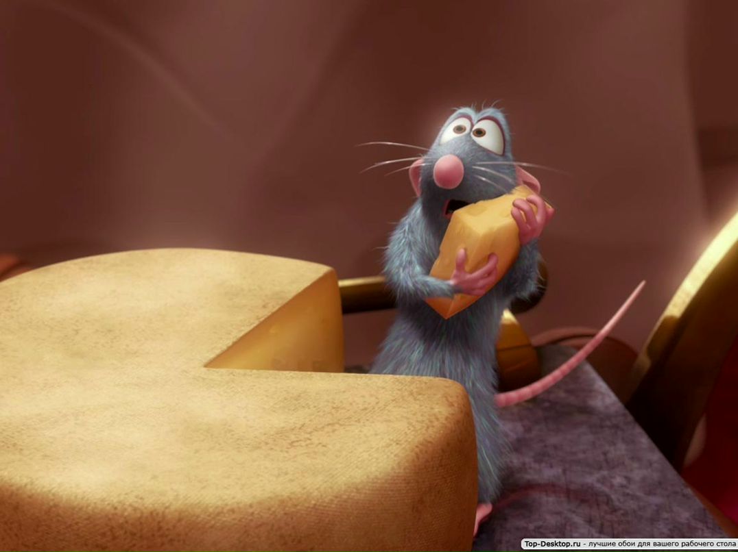 Александр Филь | Запорожье