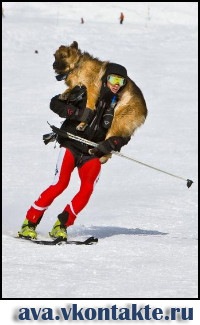 №40, Паша Танасиенко, Хмельницкий №40, Паша Танасиенко, Хмельницкий