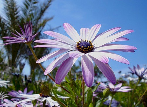 Лена Заико | Москва