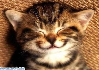 Филимон Котеев SaikoAlex © | 