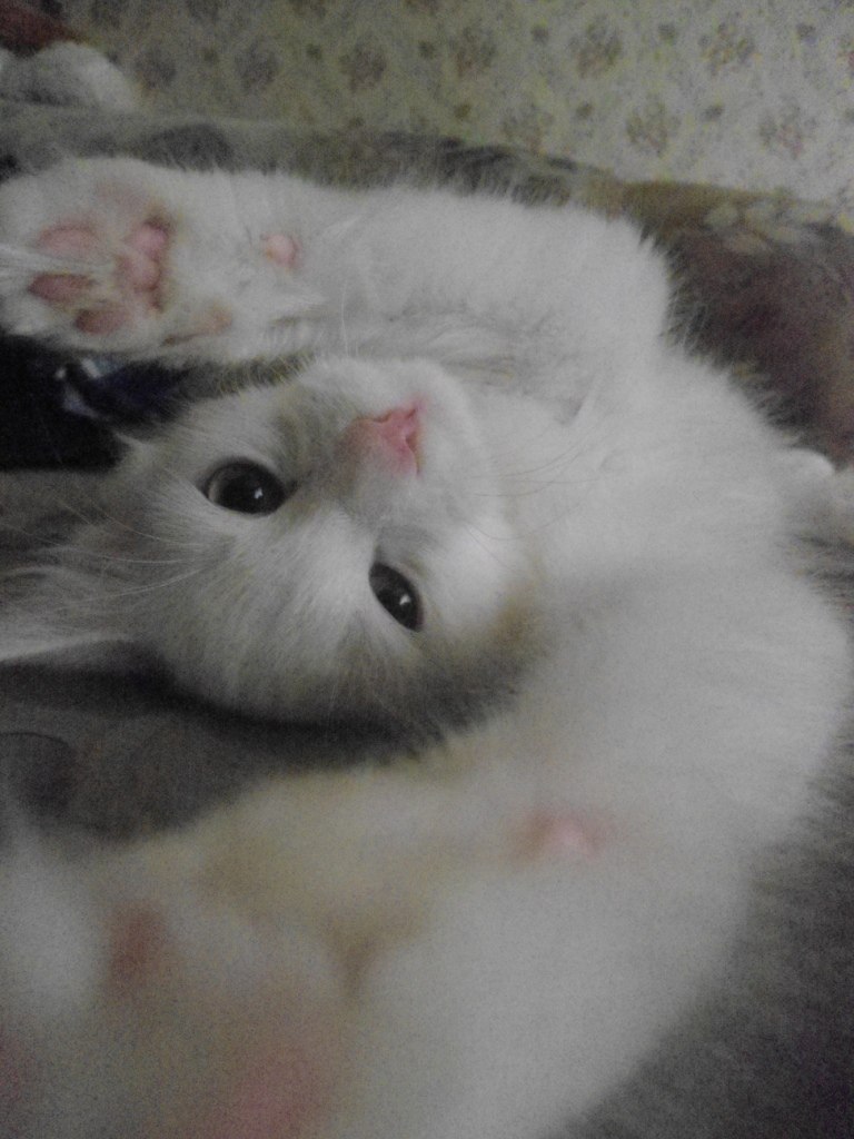 Ксения Марфина | Самара