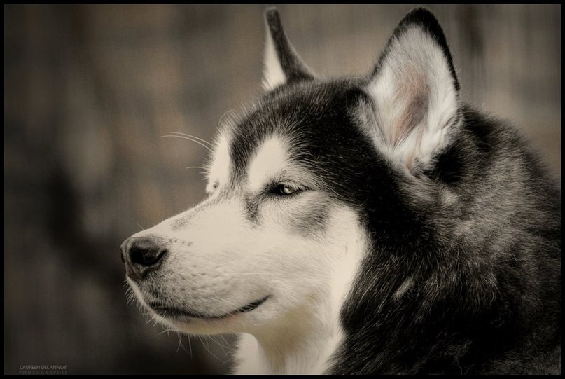 Юра Гаак 4a[u]koBck[u]u*tm Uzn!k | Минск